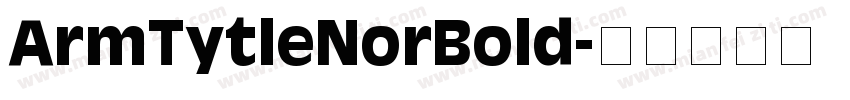 ArmTytleNorBold字体转换