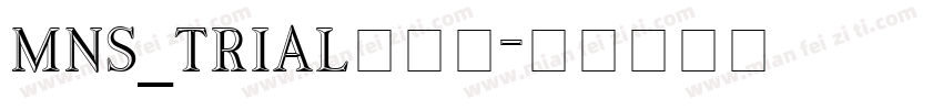 MNS_TRIAL转换器字体转换
