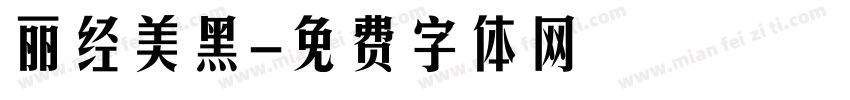 丽经美黑字体转换