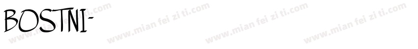 BOSTNI字体转换