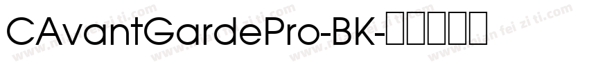 CAvantGardePro-BK字体转换