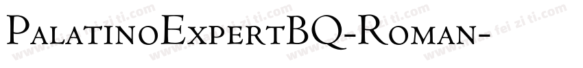 PalatinoExpertBQ-Roman字体转换