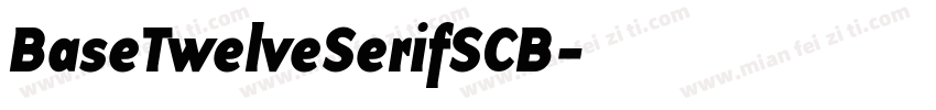 BaseTwelveSerifSCB字体转换