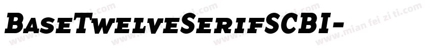 BaseTwelveSerifSCBI字体转换