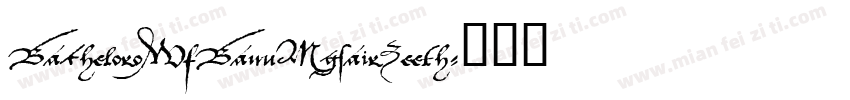 BacheloroWfBanuMgsairZeeth字体转换