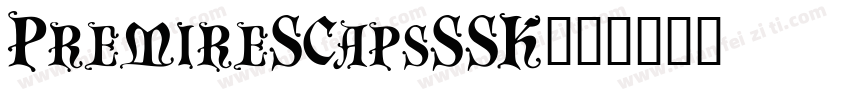 PremireSCapsSSK字体转换