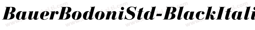 BauerBodoniStd-BlackItalic字体转换