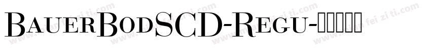 BauerBodSCD-Regu字体转换
