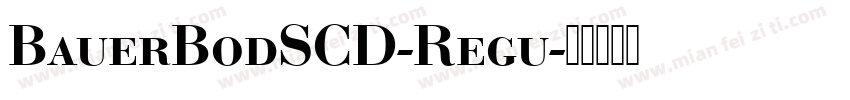 BauerBodSCD-Regu字体转换