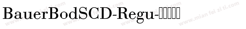 BauerBodSCD-Regu字体转换