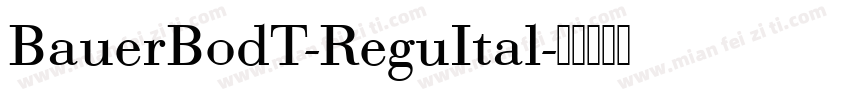 BauerBodT-ReguItal字体转换