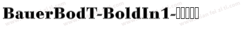 BauerBodT-BoldIn1字体转换
