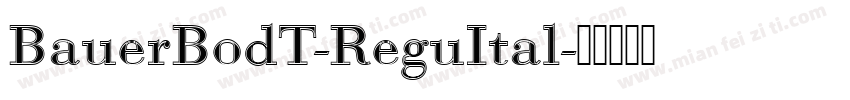 BauerBodT-ReguItal字体转换