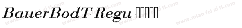 BauerBodT-Regu字体转换