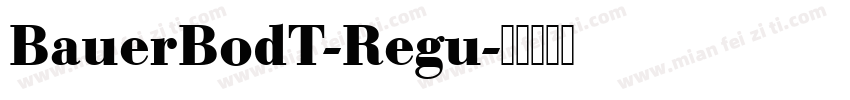 BauerBodT-Regu字体转换