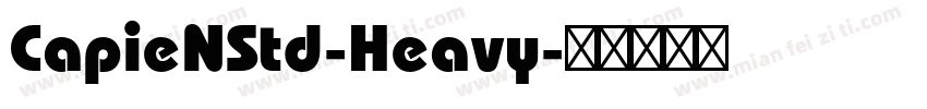 CapieNStd-Heavy字体转换