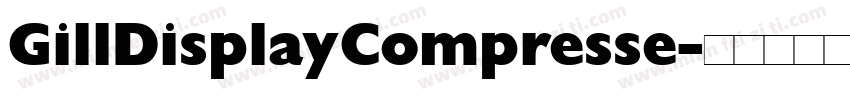 GillDisplayCompresse字体转换