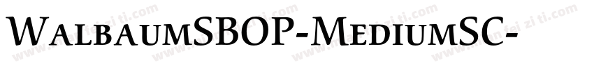 WalbaumSBOP-MediumSC字体转换