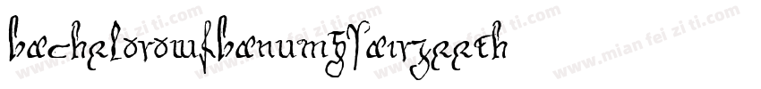 BacheloroWfBanuMgsairZeeth字体转换