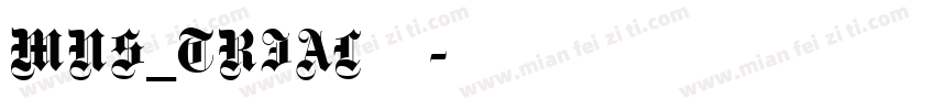 MNS_TRIAL转换器字体转换