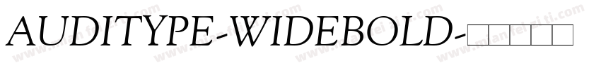 AUDITYPE-WIDEBOLD字体转换