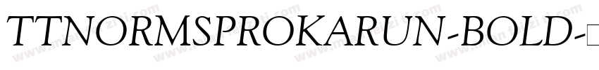 TTNORMSPROKARUN-BOLD字体转换