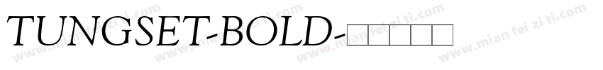 TUNGSET-BOLD字体转换