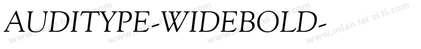 AUDITYPE-WIDEBOLD字体转换