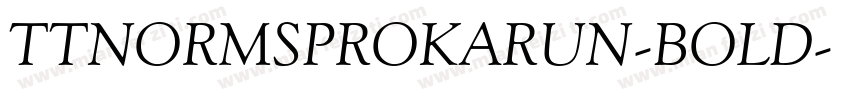 TTNORMSPROKARUN-BOLD字体转换