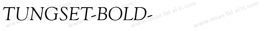 TUNGSET-BOLD字体转换