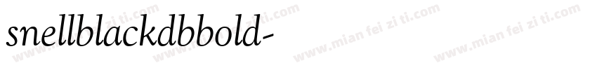 snellblackdbbold字体转换
