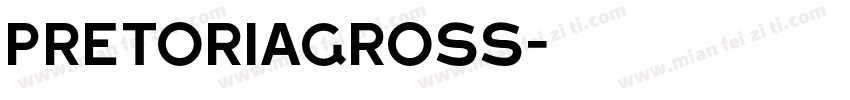 PretoriaGross字体转换