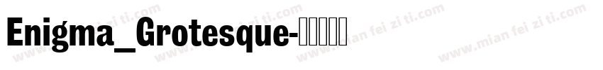 Enigma_Grotesque字体转换
