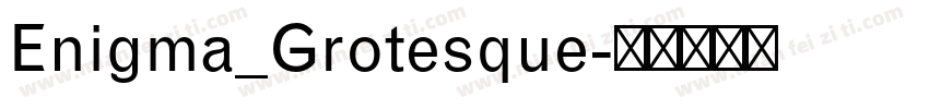 Enigma_Grotesque字体转换
