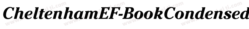 CheltenhamEF-BookCondensed字体转换
