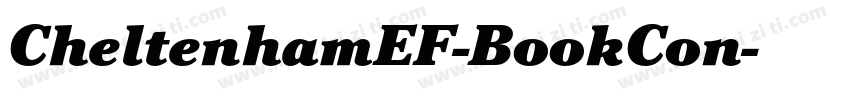 CheltenhamEF-BookCon字体转换