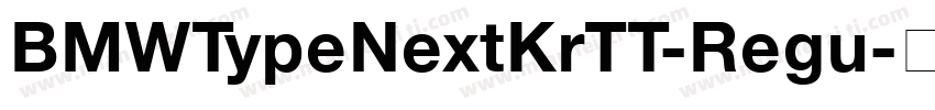 BMWTypeNextKrTT-Regu字体转换