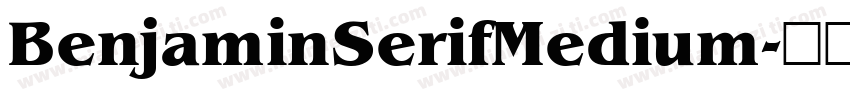BenjaminSerifMedium字体转换 BenjaminSerifMedium字体转换