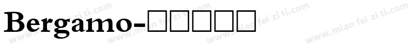 Bergamo字体转换
