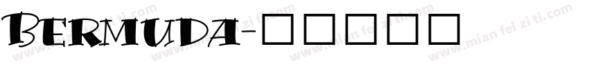 Bermuda字体转换