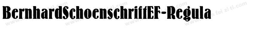 BernhardSchoenschriftEF-Regular字体转换