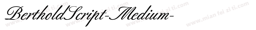 BertholdScript-Medium字体转换