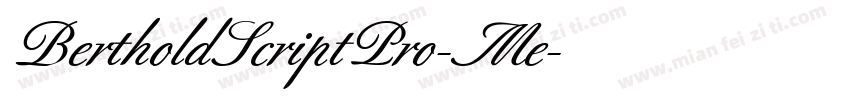 BertholdScriptPro-Me字体转换