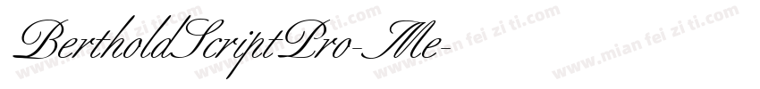 BertholdScriptPro-Me字体转换