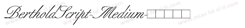 BertholdScript-Medium字体转换