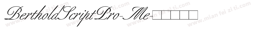 BertholdScriptPro-Me字体转换