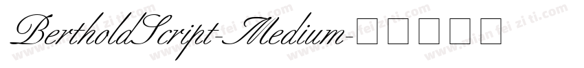BertholdScript-Medium字体转换