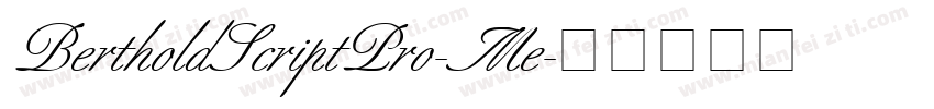 BertholdScriptPro-Me字体转换