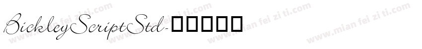 BickleyScriptStd字体转换