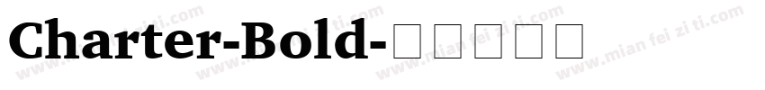 Charter-Bold字体转换